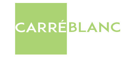 Footer Logo