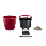KENTIA (HAUTEUR 180/200CM) REMPOTÉ DANS POT LECHUZA CLASSICO PREMIUM 35 ROUGE