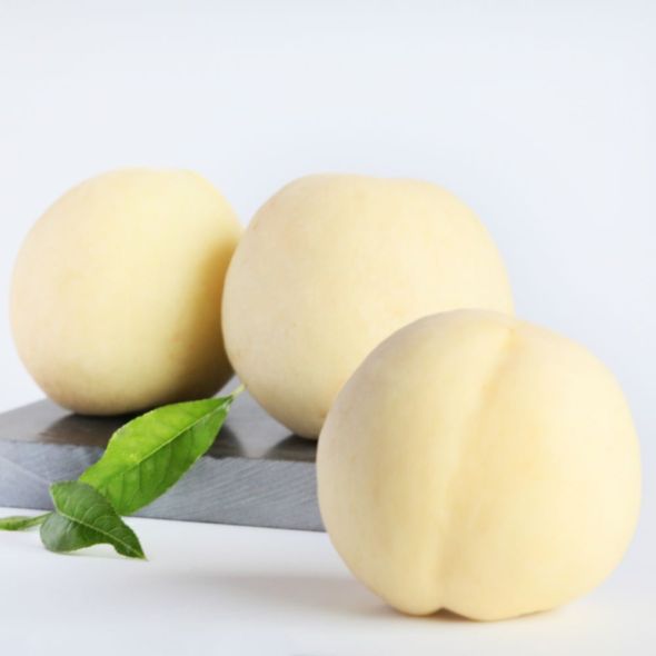 PÊCHER DE BALCON 'ICE PEACH' - FRUIT ME®