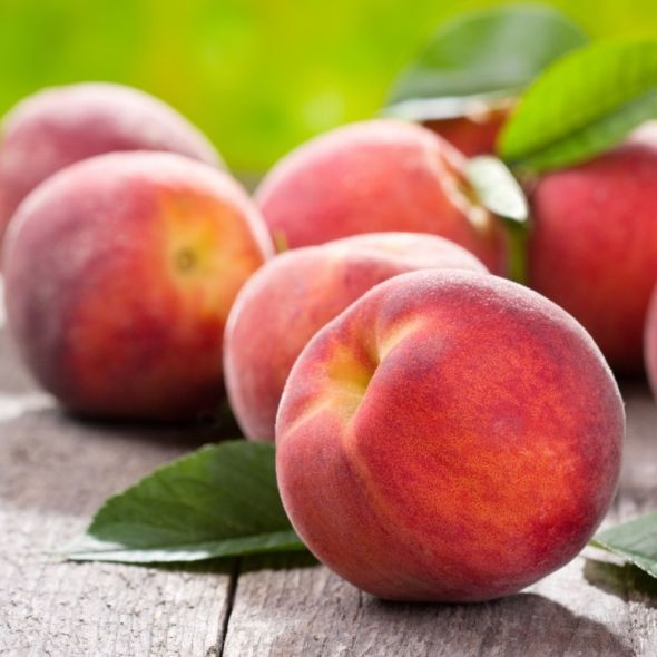 PÊCHER DE BALCON FRUIT ME® PEACH ME RED